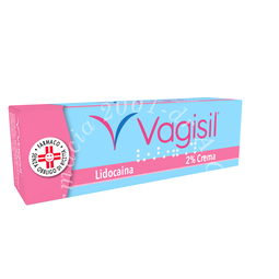 Vagisil 2% crema tubo da 20 g